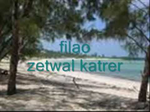 Zetwal katrer - filaos