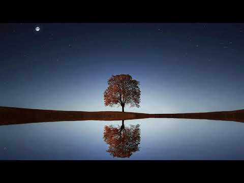 A Message for Lauren Matthias / Hidden True Crime