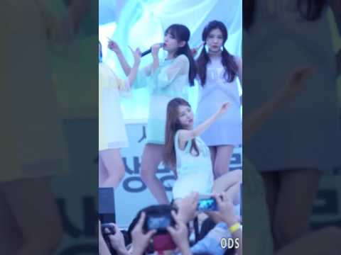160904 생명사랑걷기 일기 구구단 세정