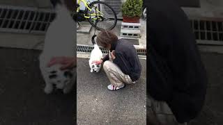 地域猫2