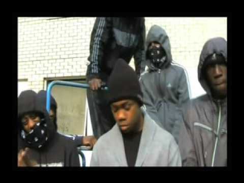 Stigs & Shockz  PYGz Rec A G (DVD) Pilot,