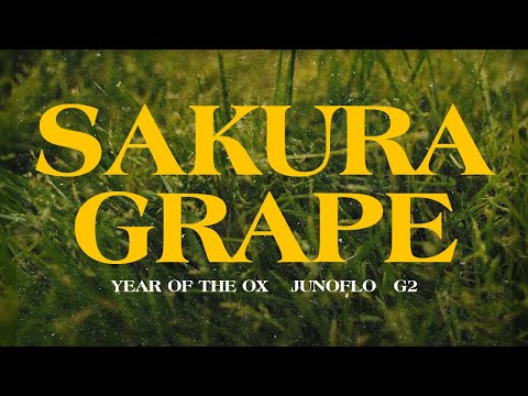 YEAR OF THE OX - SAKURA GRAPE feat. JUNOFLO & G2