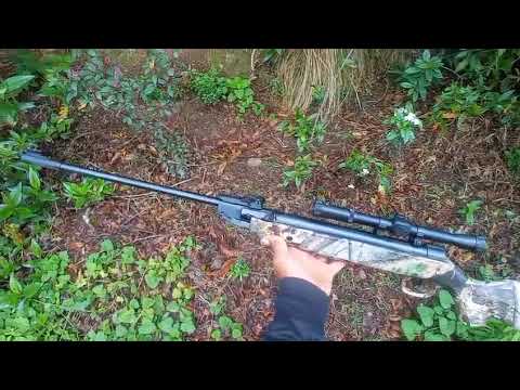 Pedido Recibido Rifle Aire Comprimido B3-3 Camuflado Para PUERTO LIBERTADOR-CORDOBA