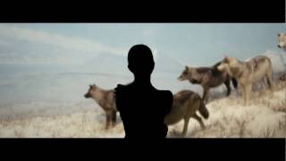 Run With You - Thunder and Rain (Official Music Video) Run With You - Thunder and Rain (Official Music Video)