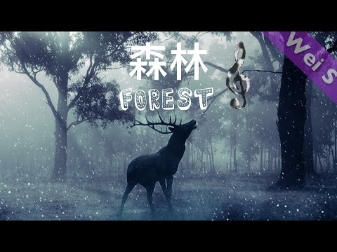 【Wei S】Forest 「森林」 by Alexander Munk (Restless Music)