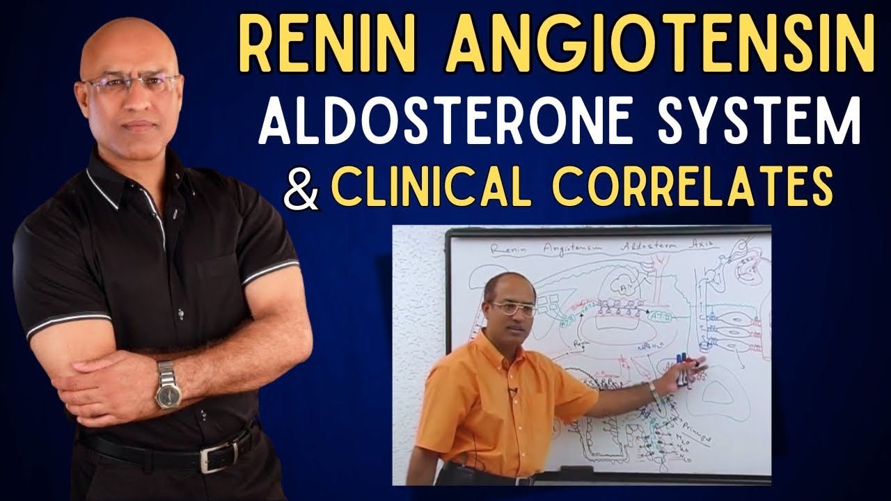 Renin Angiotensin Aldosterone System