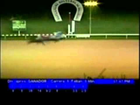 Resumen Viernes, 16 de Septiembre de 2011 - Valencia