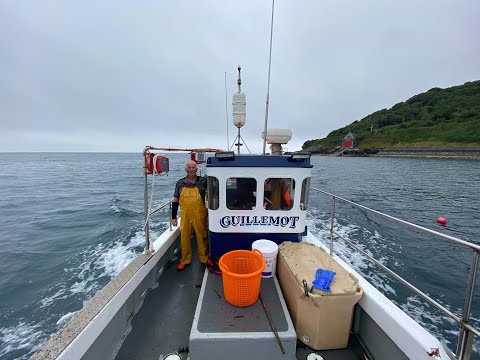 Commercial Lobster Fishing From Mousehole In Cornwall || Cygnus 21, Sustainable Fishing, Small Boat