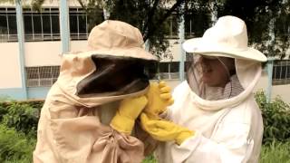 preview picture of video 'Captura de abelhas na Unesp em Guaratinguetá.'