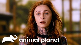 Mariah Torres' Emotional Rescue of a Malnourished Dog | Pit Bulls and Parolees | Animal Planet by Animal Planet