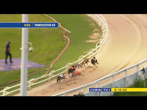 GREYHOUND DERBY  2021