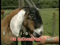 13 Old Macdonald Had A Farm Nursery Rhymes Series 1 Canary