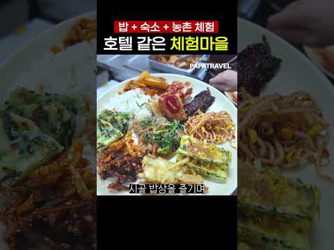 서울 근교 숨겨진 보석, 연천 푸른마을에서 자연과 휴식을 동시에 즐기기!