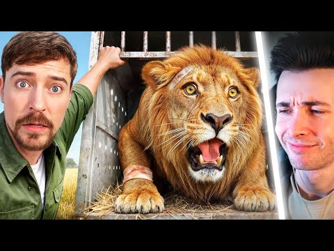 ХЕСУС СМОТРИТ: Я Спас 1000 Животных От Гибели | МИСТЕР БИСТ