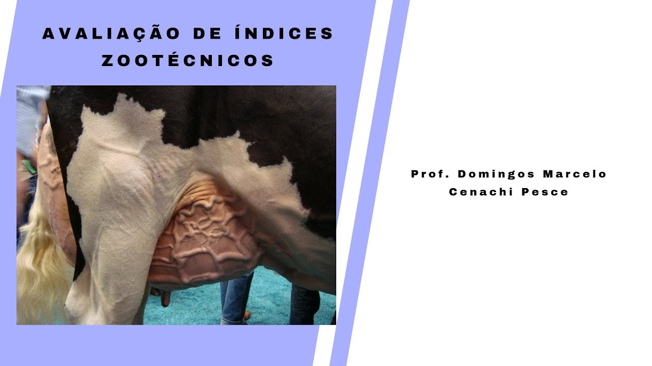 Avaliação de índices zootécnicos do rebanho bovino leiteiro - parte 1