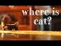 Where Is Cat A Bart Bonte Game