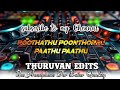 Poothathu Poonthoppu Song Echo Mix Thuruvan Audio Edits