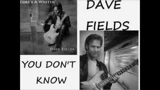 DAVE FIELDS YOU DON'T KNOW EXCELLENT SOUND QUALITY.wmv