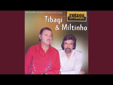 Pombinha Branca (Vola Colomba)