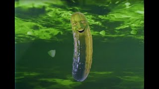 The Pickle Song Music Video