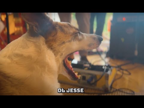 PAPRODZIAD Z PĘCZAKIEM - OŁ JESSE (Heartificial Intelligence Video)