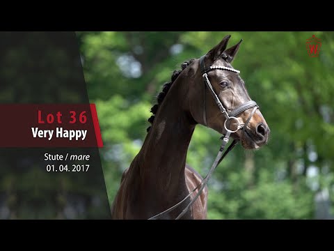 36 Very Happy Stute v.Valido's Highlight - Riccio