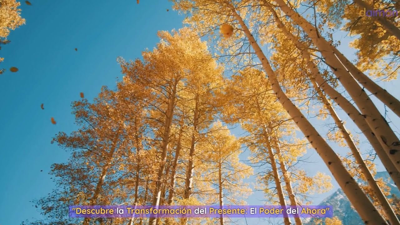 El poder del ahora |Descubre la transformación del presente.
