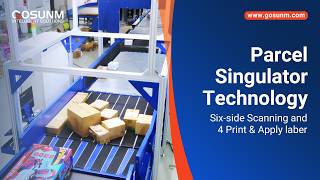 Dynamic DWS System with Six-Side Scanning, Parcel Singulator & 4 Print-and-Apply Laber