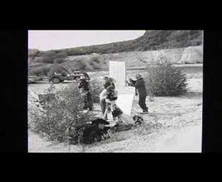 Rex film kort overzicht