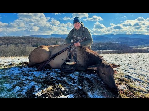 HAWKEN RIFLE COW ELK HUNT !