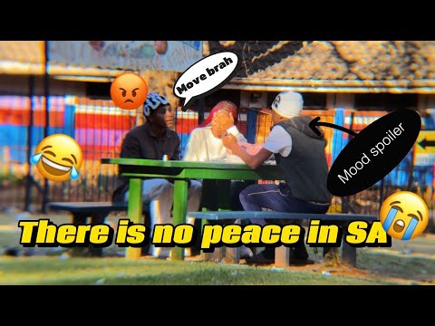 Best of Project Lynzy