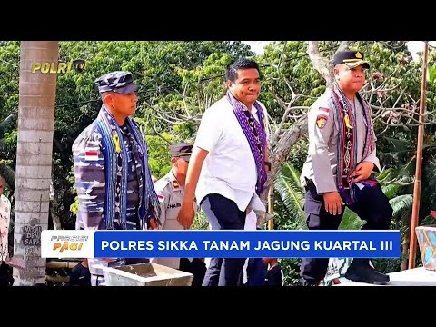 POLRES SIKKA TANAM JAGUNG KUARTAL III DUKUNG KETAHANAN PANGAN