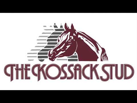 Habibs Nakanza (Kanz Albidayer x Nakuna Kossack by Kunar T)