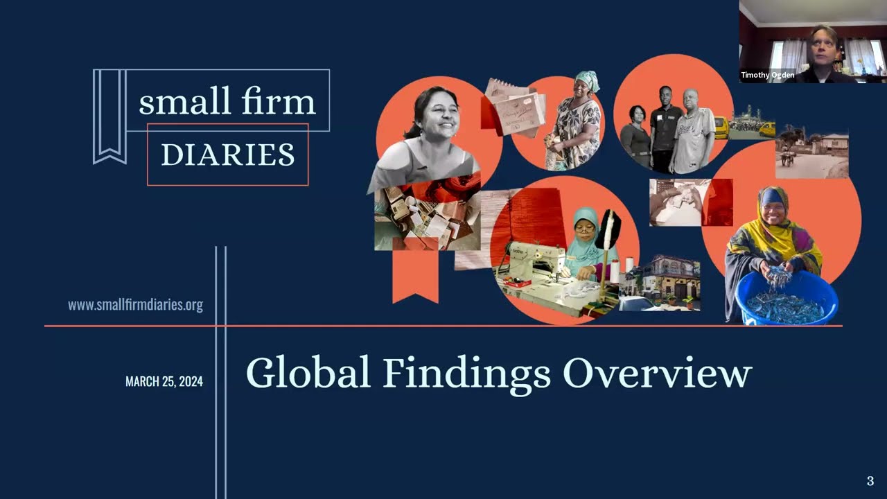 The Small Firm Diaries Global Findings: What We Learned, What's Next