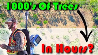 Automatic Tree Surveying - SLAM Scanning & Advanced Algorithms