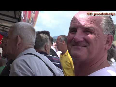 Muće dobio konkurenciju ili partnera za igre #kolo #zabava