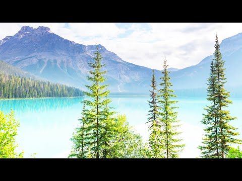 Grillenzirpen in der Natur: Sanfte Naturgeräusche am See (6 Stunden)