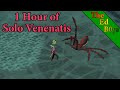 OSRS 1 Hour of Solo Venenatis | Venenatis Example Kills