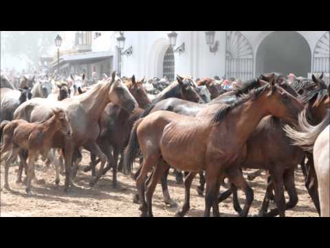 Tradiciones marismeñas