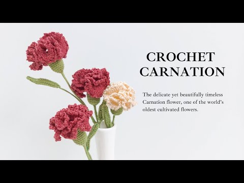 How to Crochet Carnation Flower - Friendly Tutorial by NHÀ LEN