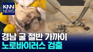 생굴 섭취 주의