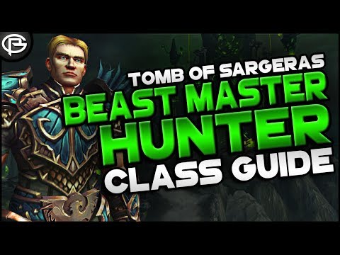 7.2.5 Basic Guides // Hunter - Beast Master