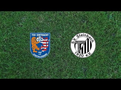 Hessenliga: Stadtallendorf - Steinbach