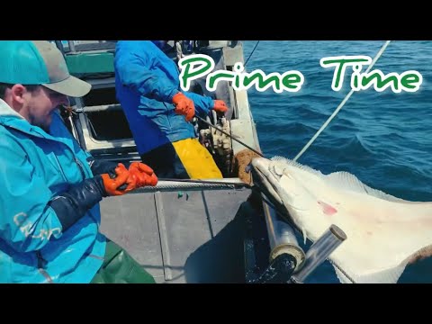 Kodiak Alaska Halibut Fishing 2023