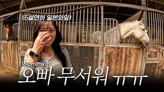 일본 와이프 울렸습니다.