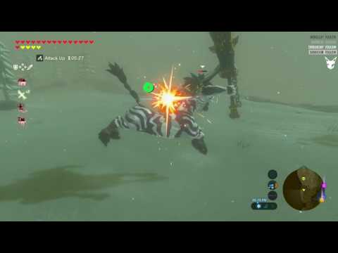How to fight the hidden hardest, mace wielding, Silver Lynels 101