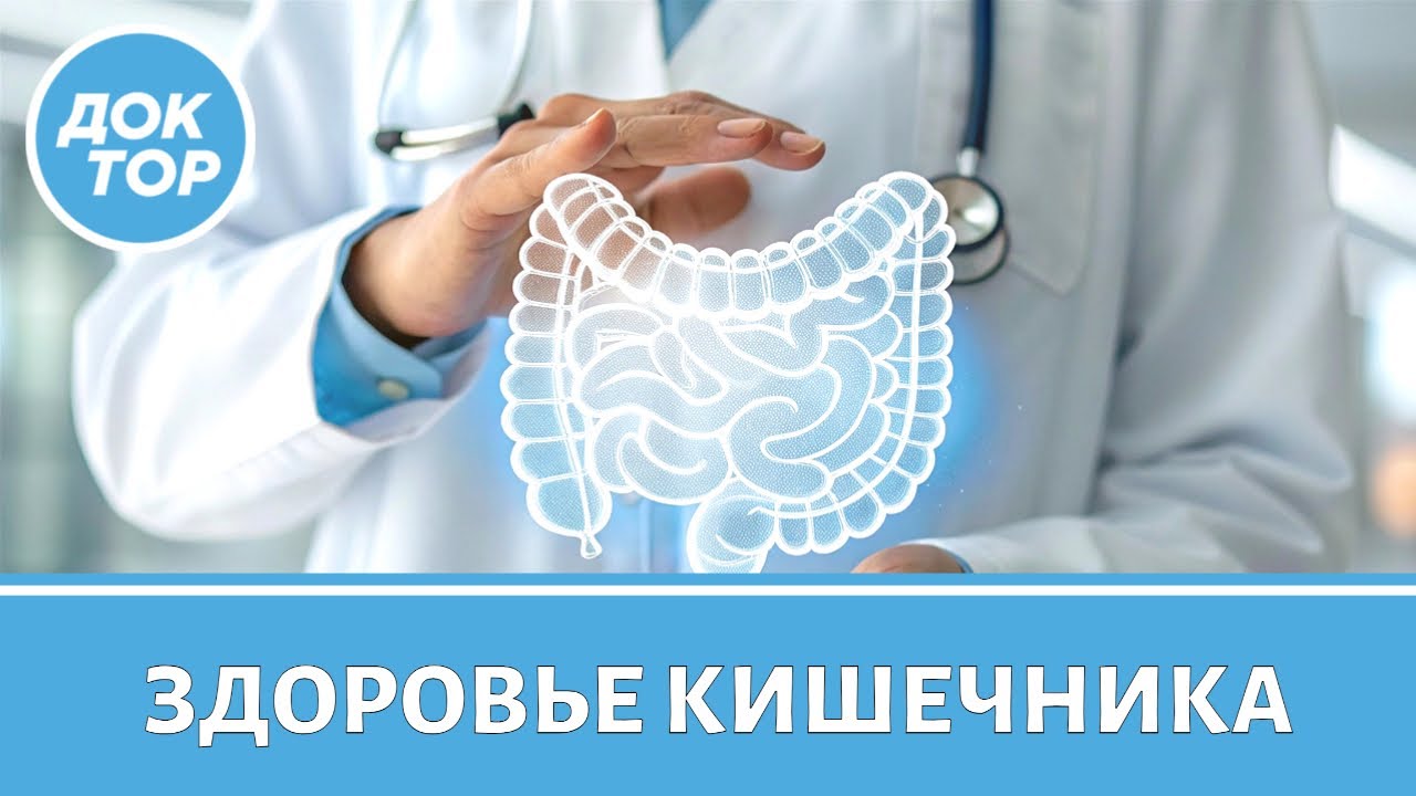 Как заставить кишечник работать правильно