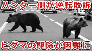 【日本でヒグマの駆除は事実上不可能に】ハンター逆転敗訴！！北海道・ヒグマ駆除で猟銃許可取り消し訴訟について