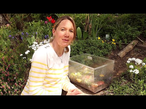 Join in! Snail Project Part 1