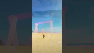 Kỳ Co beach #travelvietnam #shorts #reviewvietnam #vietnamdailytravel